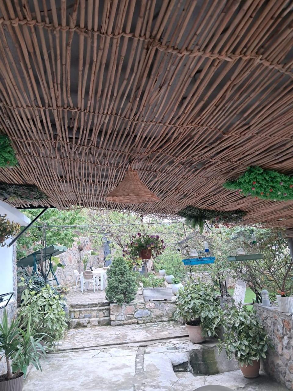 Roleo Guest House Lin ภายนอก รูปภาพ